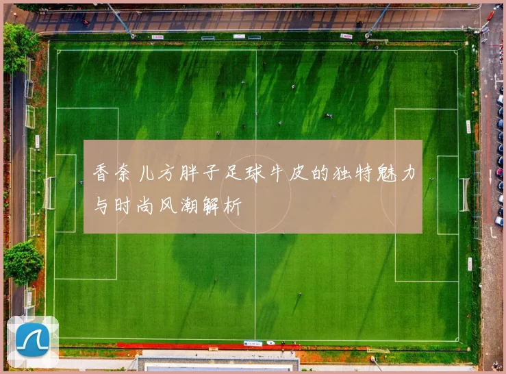 香奈儿方胖子足球牛皮的独特魅力与时尚风潮解析