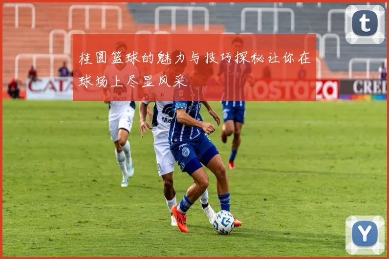 桂圆篮球的魅力与技巧探秘让你在球场上尽显风采